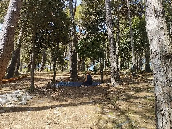 Mobile Homes Pine Sea Banjole 0*,